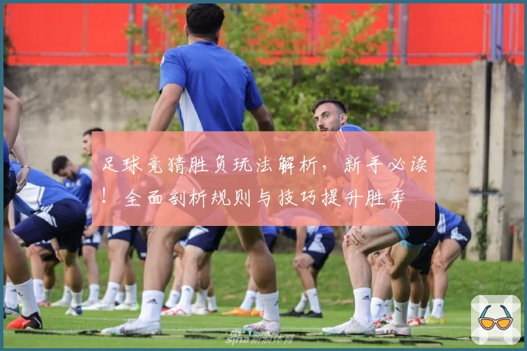 足球竞猜胜负玩法解析，新手必读！全面剖析规则与技巧提升胜率